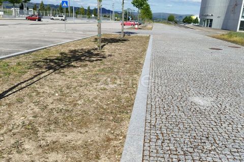 Terra a Moimenta da Beira, Viseu, Moimenta da Beira - € 180.000 | Ref: ZMPT577579 - foto 30