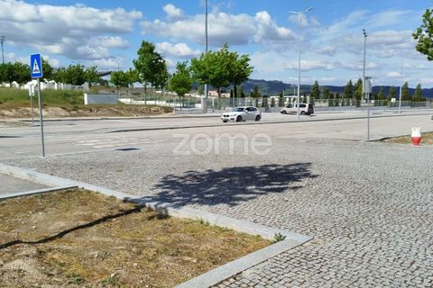 Terra a Moimenta da Beira, Viseu, Moimenta da Beira - € 180.000 | Ref: ZMPT577579 - foto 33