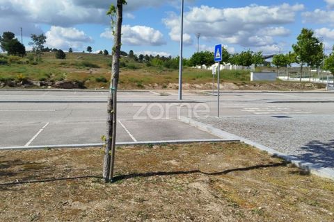 Terra a Moimenta da Beira, Viseu, Moimenta da Beira - € 180.000 | Ref: ZMPT577579 - foto 35