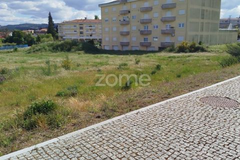 Terra a Moimenta da Beira, Viseu, Moimenta da Beira - € 180.000 | Ref: ZMPT577579 - foto 36