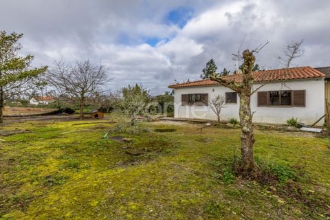 Villa i Moita, Leiria, Moita - € 220.000 | Ref: ZMPT585277 - foto 2