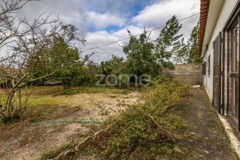Villa i Moita, Leiria, Moita - € 220.000 | Ref: ZMPT585277 - foto 14