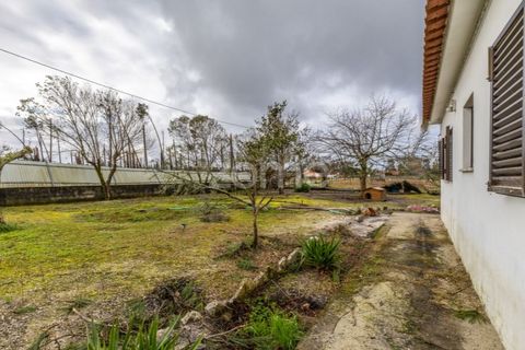 Villa i Moita, Leiria, Moita - € 220.000 | Ref: ZMPT585277 - foto 15