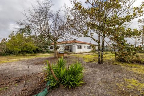 Villa i Moita, Leiria, Moita - € 220.000 | Ref: ZMPT585277 - foto 16