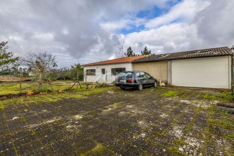 Villa i Moita, Leiria, Moita - € 220.000 | Ref: ZMPT585277 - foto 17
