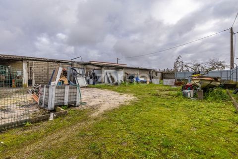 Villa i Moita, Leiria, Moita - € 220.000 | Ref: ZMPT585277 - foto 22