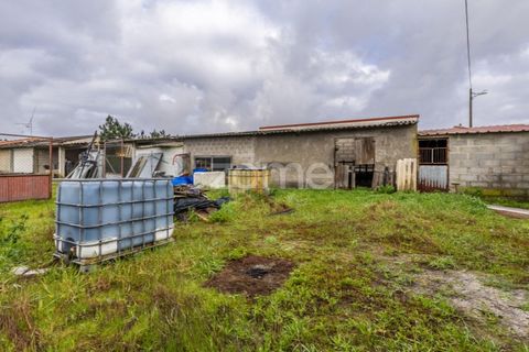 Villa i Moita, Leiria, Moita - € 220.000 | Ref: ZMPT585277 - foto 23