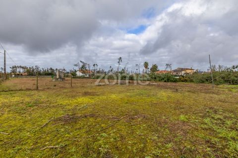 Villa i Moita, Leiria, Moita - € 220.000 | Ref: ZMPT585277 - foto 25
