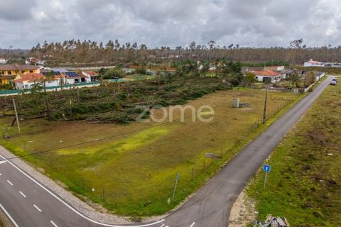 Villa i Moita, Leiria, Moita - € 220.000 | Ref: ZMPT585277 - foto 26