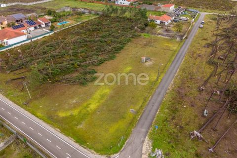 Villa i Moita, Leiria, Moita - € 220.000 | Ref: ZMPT585277 - foto 27
