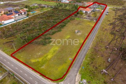 Villa i Moita, Leiria, Moita - € 220.000 | Ref: ZMPT585277 - foto 28