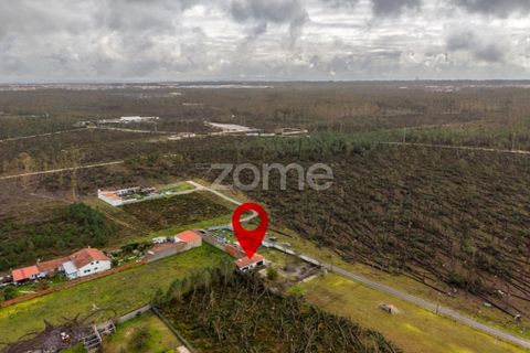 Villa i Moita, Leiria, Moita - € 220.000 | Ref: ZMPT585277 - foto 32
