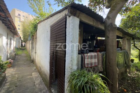 Villa i Coimbra, Coimbra, Coimbra - € 565.000 | Ref: ZMPT587267 - foto 21