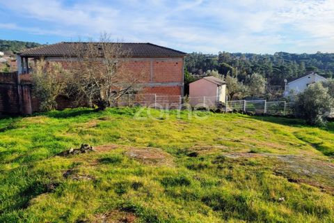 Helårsgrund i Viseu, Viseu, Viseu - € 51.000 | Ref: ZMPT573948 - foto 5