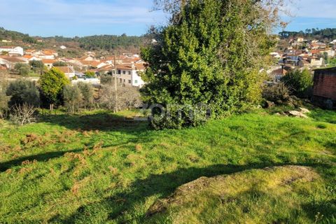 Helårsgrund i Viseu, Viseu, Viseu - € 51.000 | Ref: ZMPT573948 - foto 7