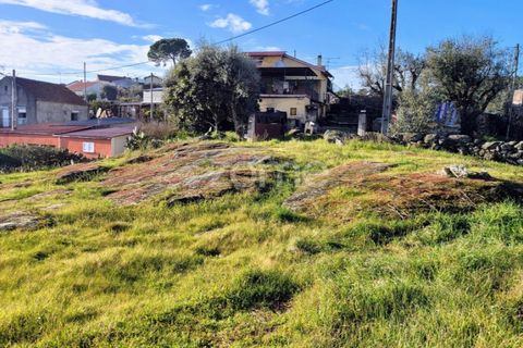 Helårsgrund i Viseu, Viseu, Viseu - € 51.000 | Ref: ZMPT573948 - foto 13