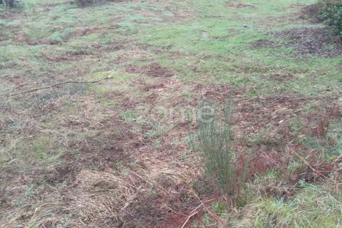 Helårsgrund i Viseu, Viseu, Viseu - € 51.000 | Ref: ZMPT573948 - foto 16