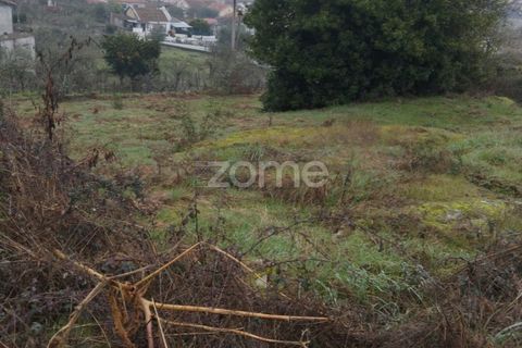 Helårsgrund i Viseu, Viseu, Viseu - € 51.000 | Ref: ZMPT573948 - foto 18