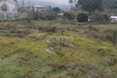 Helårsgrund i Viseu, Viseu, Viseu - € 51.000 | Ref: ZMPT573948 - foto 23