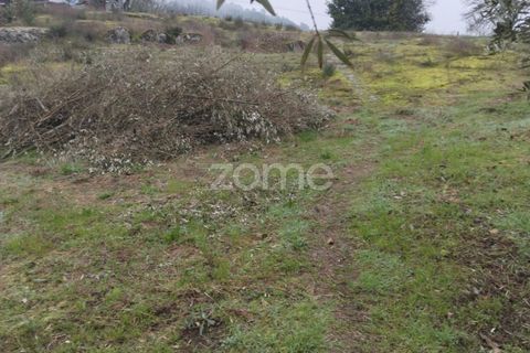 Helårsgrund i Viseu, Viseu, Viseu - € 51.000 | Ref: ZMPT573948 - foto 26