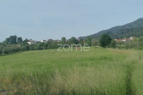 Helårsgrund i Tondela, Viseu, Tondela - € 250.000 | Ref: ZMPT557989 - foto 1