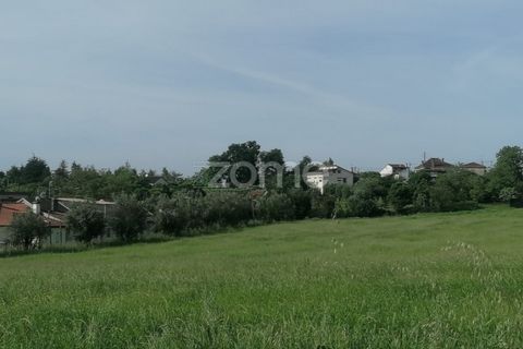 Helårsgrund i Tondela, Viseu, Tondela - € 250.000 | Ref: ZMPT557989 - foto 2