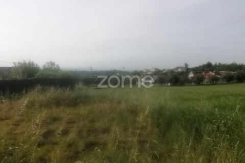 Helårsgrund i Tondela, Viseu, Tondela - € 250.000 | Ref: ZMPT557989 - foto 4