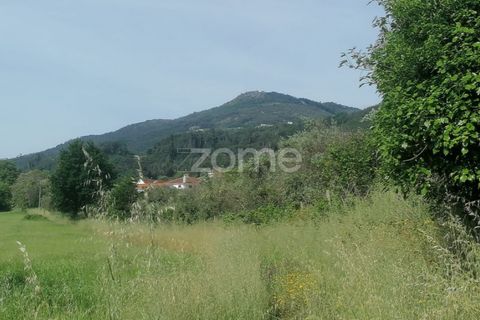 Helårsgrund i Tondela, Viseu, Tondela - € 250.000 | Ref: ZMPT557989 - foto 6