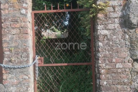 Helårsgrund i Tondela, Viseu, Tondela - € 250.000 | Ref: ZMPT557989 - foto 7