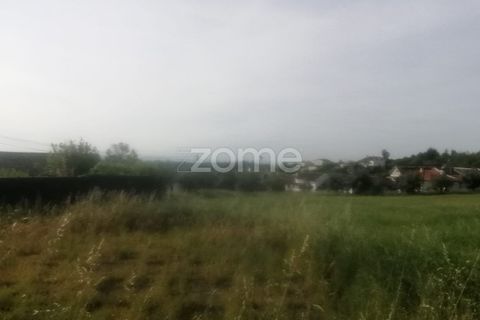 Helårsgrund i Tondela, Viseu, Tondela - € 250.000 | Ref: ZMPT557989 - foto 11