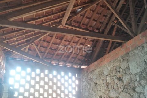Helårsgrund i Tondela, Viseu, Tondela - € 250.000 | Ref: ZMPT557989 - foto 13