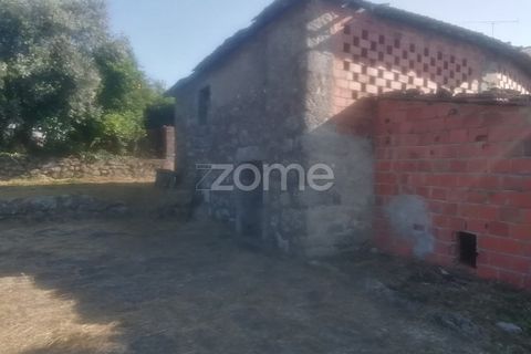 Helårsgrund i Tondela, Viseu, Tondela - € 250.000 | Ref: ZMPT557989 - foto 14