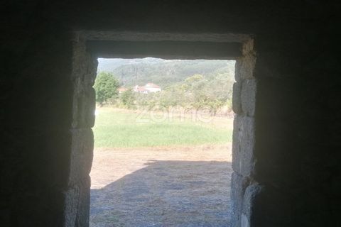 Helårsgrund i Tondela, Viseu, Tondela - € 250.000 | Ref: ZMPT557989 - foto 15