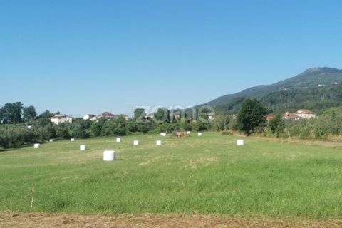 Helårsgrund i Tondela, Viseu, Tondela - € 250.000 | Ref: ZMPT557989 - foto 16