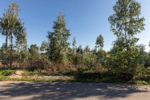 Helårsgrund i Antuzede e Vil de Matos, Coimbra, Antuzede e Vil de Matos - € 79.800 | Ref: ZMPT571906 - foto 2