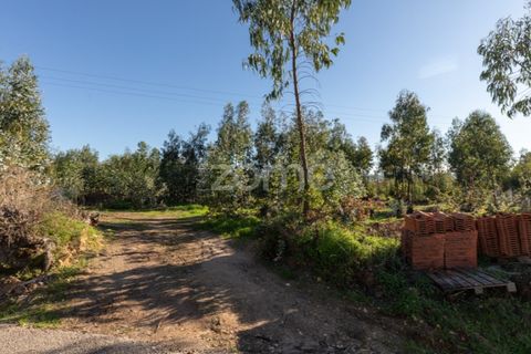 Helårsgrund i Antuzede e Vil de Matos, Coimbra, Antuzede e Vil de Matos - € 79.800 | Ref: ZMPT571906 - foto 3