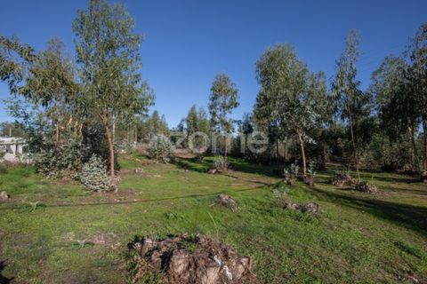 Helårsgrund i Antuzede e Vil de Matos, Coimbra, Antuzede e Vil de Matos - € 79.800 | Ref: ZMPT571906 - foto 7