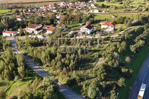 Helårsgrund i Antuzede e Vil de Matos, Coimbra, Antuzede e Vil de Matos - € 79.800 | Ref: ZMPT571906 - foto 14