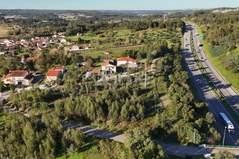 Helårsgrund i Antuzede e Vil de Matos, Coimbra, Antuzede e Vil de Matos - € 79.800 | Ref: ZMPT571906 - foto 16