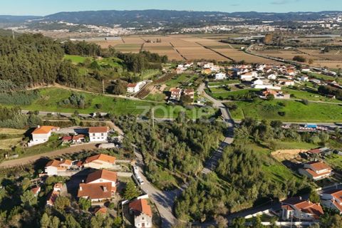 Helårsgrund i Antuzede e Vil de Matos, Coimbra, Antuzede e Vil de Matos - € 79.800 | Ref: ZMPT571906 - foto 18