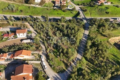 Helårsgrund i Antuzede e Vil de Matos, Coimbra, Antuzede e Vil de Matos - € 79.800 | Ref: ZMPT571906 - foto 19