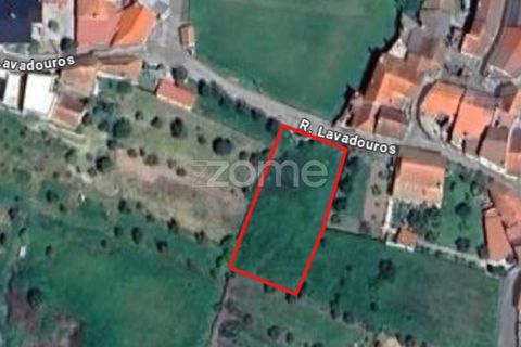 Villa i Viseu, Viseu, Viseu - € 310.000 | Ref: ZMPT575729 - foto 5
