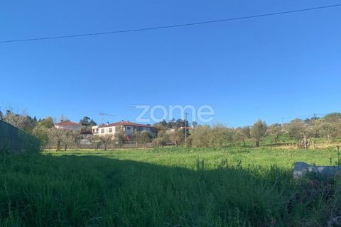 Villa i Viseu, Viseu, Viseu - € 310.000 | Ref: ZMPT575729 - foto 12