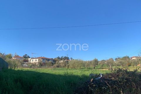 Villa i Viseu, Viseu, Viseu - € 310.000 | Ref: ZMPT575729 - foto 13