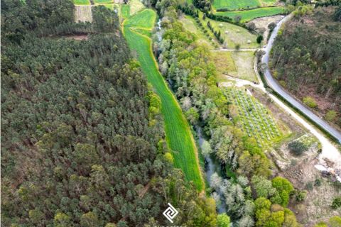 Helårsgrund i Fragoso, Braga, Fragoso - € 600.000 | Ref: PG-9228 - foto 5