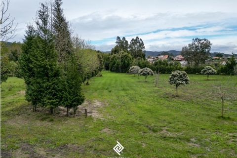 Helårsgrund i Fragoso, Braga, Fragoso - € 600.000 | Ref: PG-9228 - foto 7