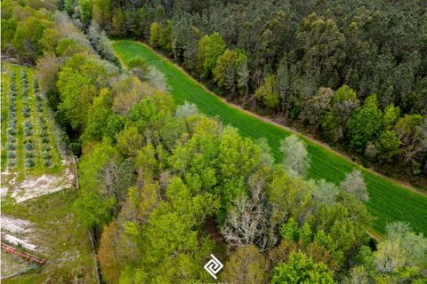 Helårsgrund i Fragoso, Braga, Fragoso - € 600.000 | Ref: PG-9228 - foto 9