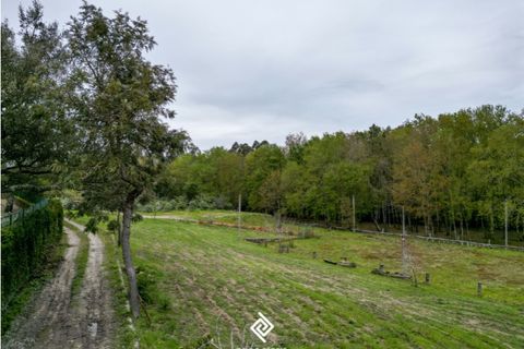 Helårsgrund i Fragoso, Braga, Fragoso - € 600.000 | Ref: PG-9228 - foto 12