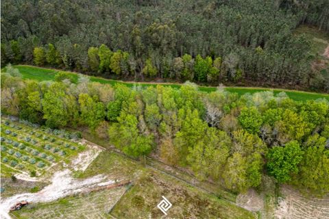 Helårsgrund i Fragoso, Braga, Fragoso - € 600.000 | Ref: PG-9228 - foto 13