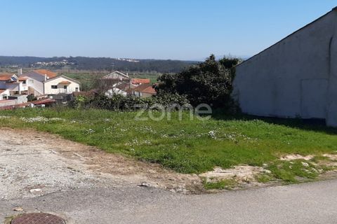 Terra a Gesteira e Brunhos, Coimbra, Gesteira e Brunhos - € 25.000 | Ref: ZMPT538802 - foto 2